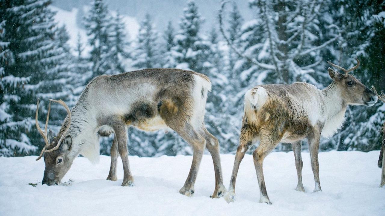 Chalet L'Attrape Coeur メジェーヴ エクステリア 写真